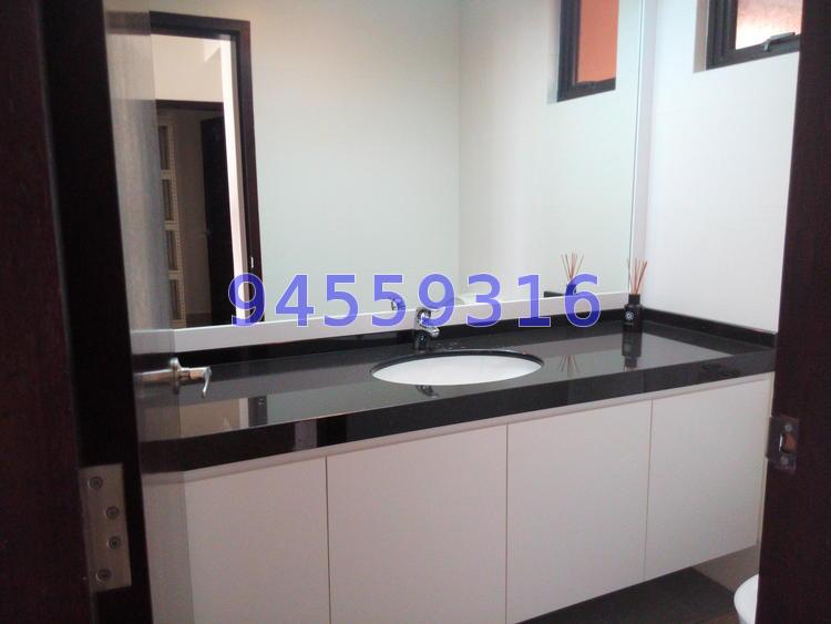 Yong An Park (D9), Condominium #71501111